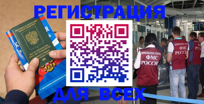 прописка поиск в Купино